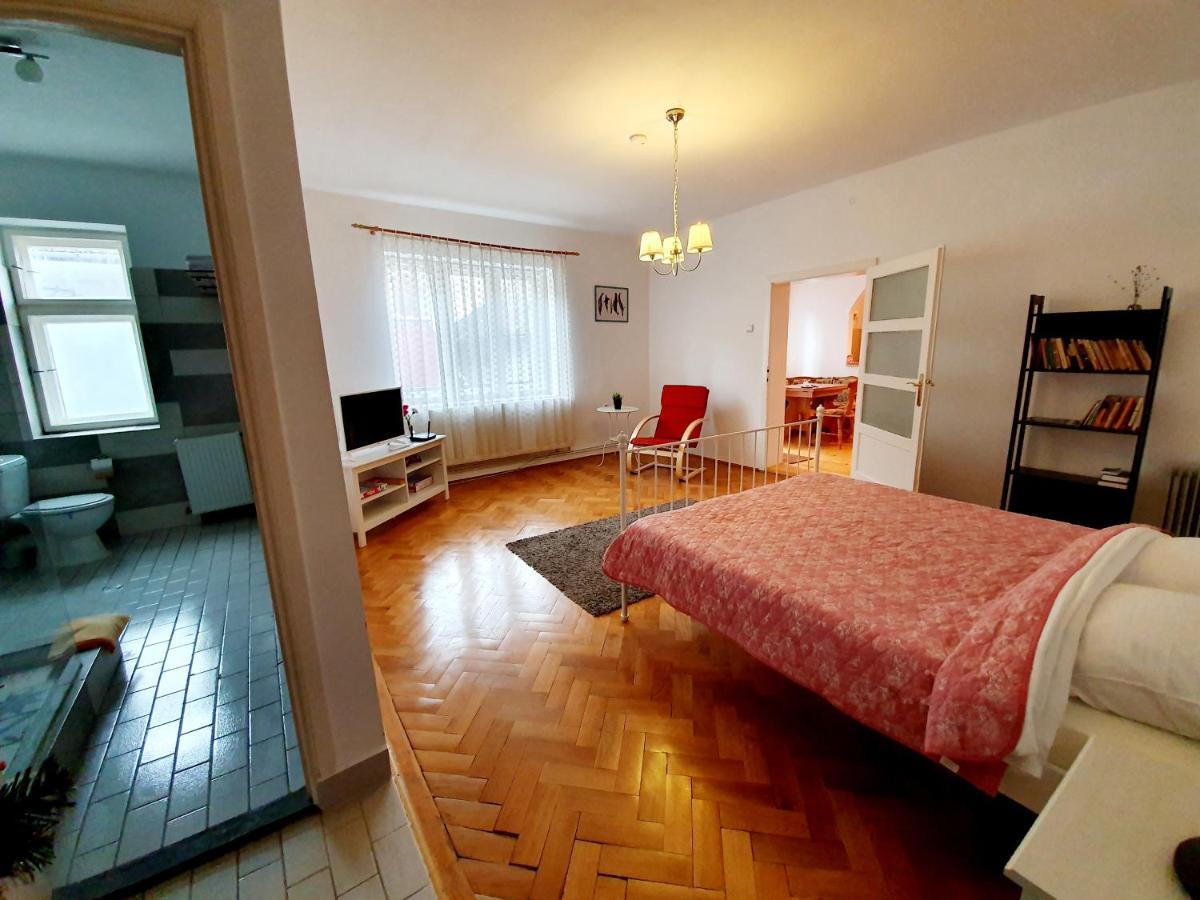 Luk Old Town Apartment Sibiu Exterior photo